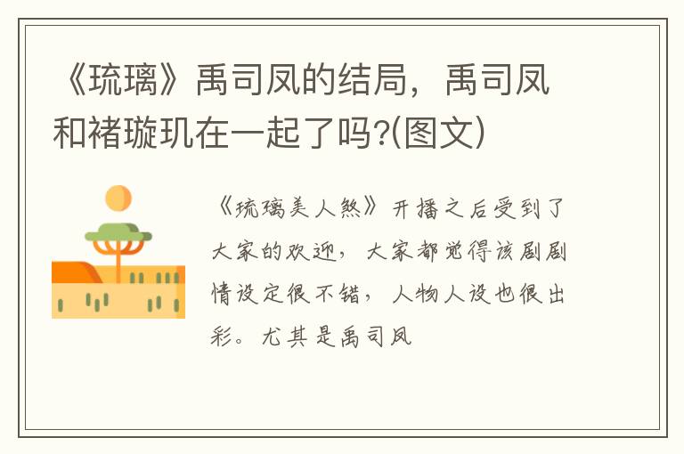 禹司凤和褚璇玑在一起了吗  图文 《琉璃》禹司凤的结局