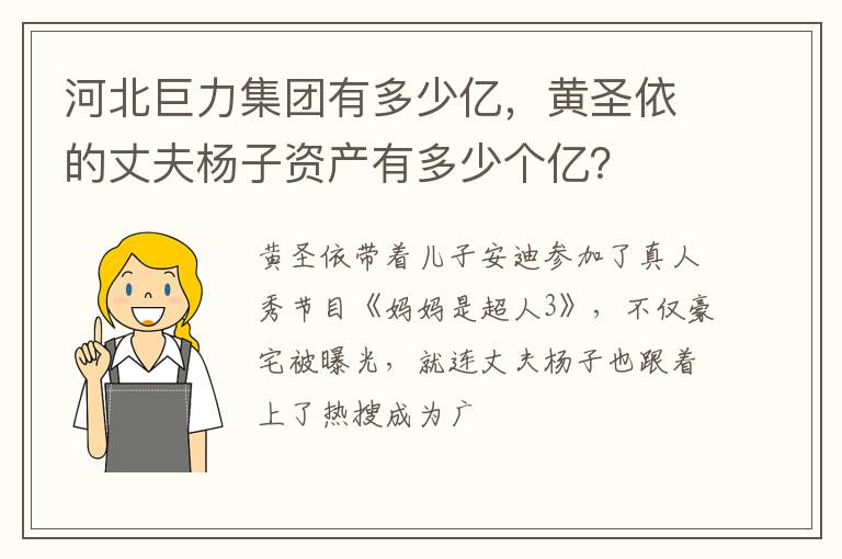 黄圣依的丈夫杨子资产有多少个亿 河北巨力集团有多少亿