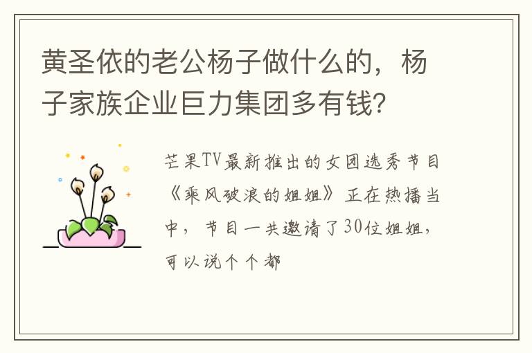 杨子家族企业巨力集团多有钱 黄圣依的老公杨子做什么的