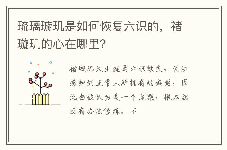 褚璇玑的心在哪里 琉璃璇玑是如何恢复六识的
