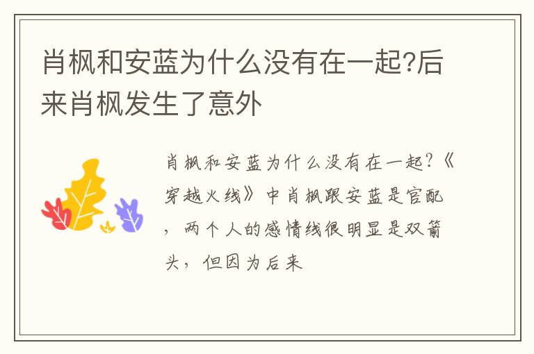 后来肖枫发生了意外 肖枫和安蓝为什么没有在一起