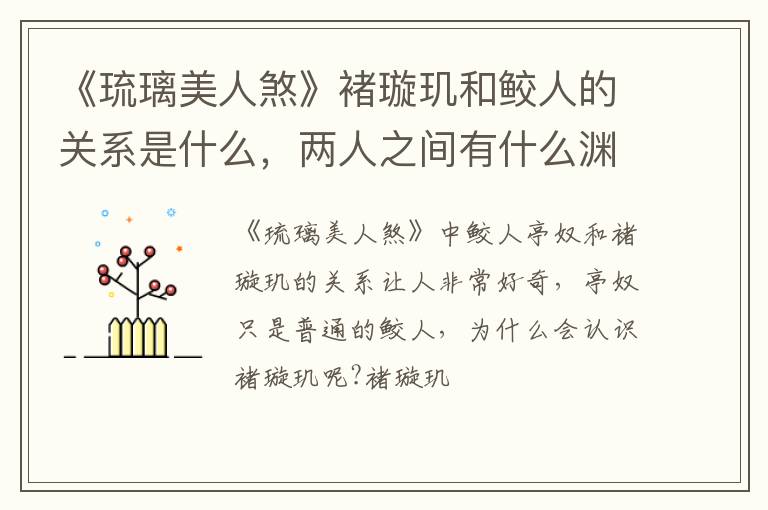 两人之间有什么渊源 《琉璃美人煞》褚璇玑和鲛人的关系是什么