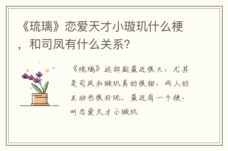 和司凤有什么关系 《琉璃》恋爱天才小璇玑什么梗