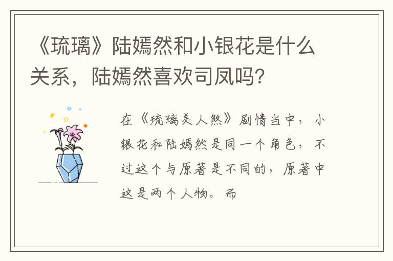 陆嫣然喜欢司凤吗 《琉璃》陆嫣然和小银花是什么关系