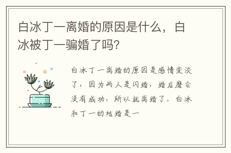 白冰被丁一骗婚了吗 白冰丁一离婚的原因是什么