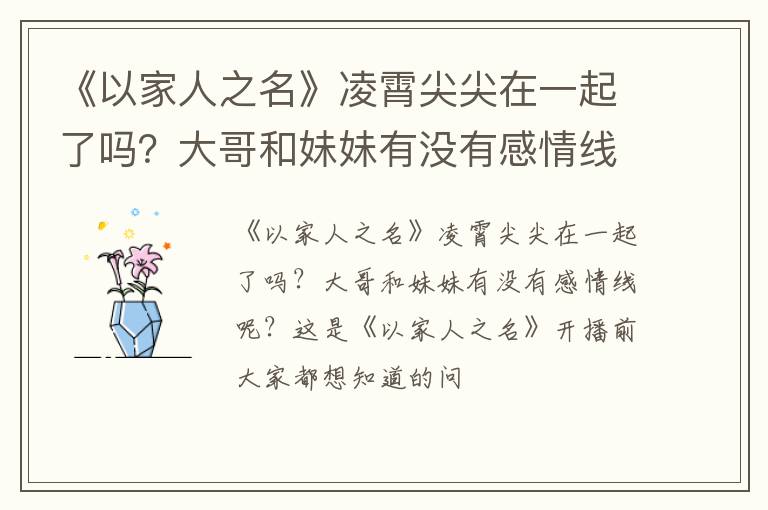 大哥和妹妹有没有感情线呢 《以家人之名》凌霄尖尖在一起了吗
