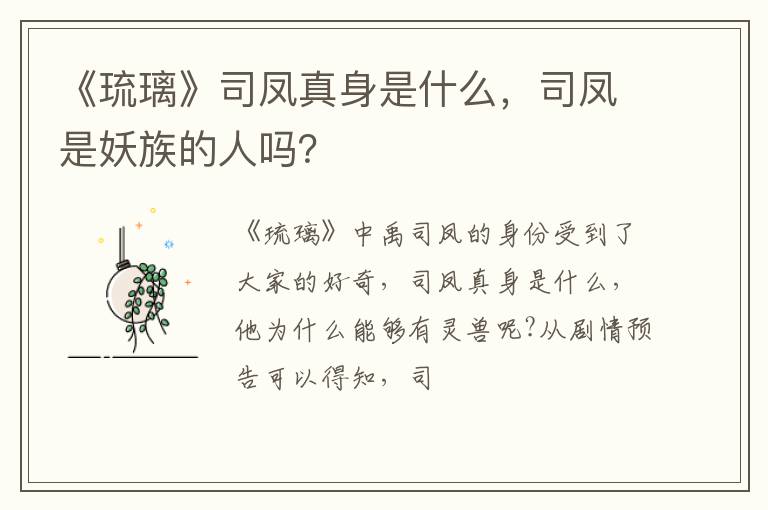 司凤是妖族的人吗 《琉璃》司凤真身是什么