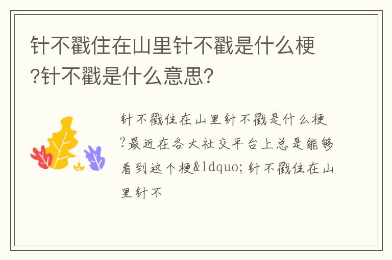 针不戳是什么意思 针不戳住在山里针不戳是什么梗
