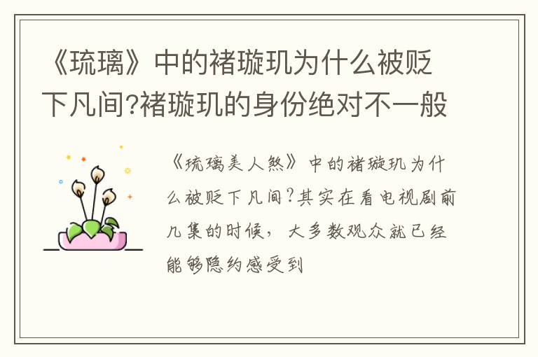 褚璇玑的身份绝对不一般 《琉璃》中的褚璇玑为什么被贬下凡间
