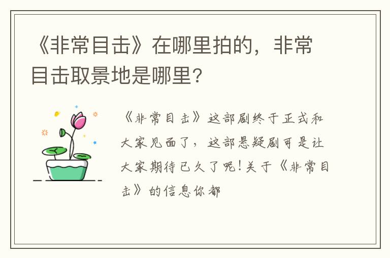 非常目击取景地是哪里 《非常目击》在哪里拍的