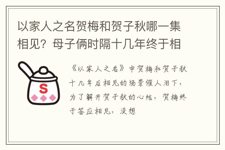 母子俩时隔十几年终于相见 以家人之名贺梅和贺子秋哪一集相见