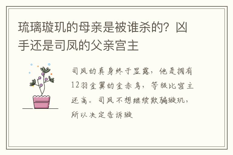 凶手还是司凤的父亲宫主 琉璃璇玑的母亲是被谁杀的