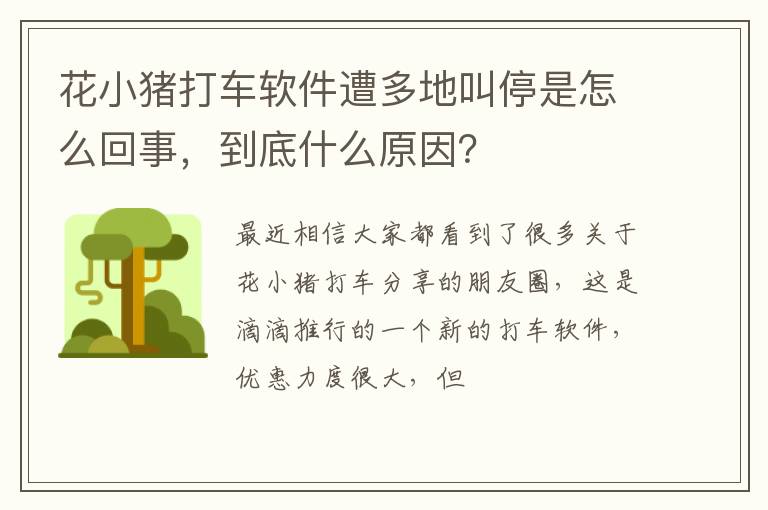 到底什么原因 花小猪打车软件遭多地叫停是怎么回事