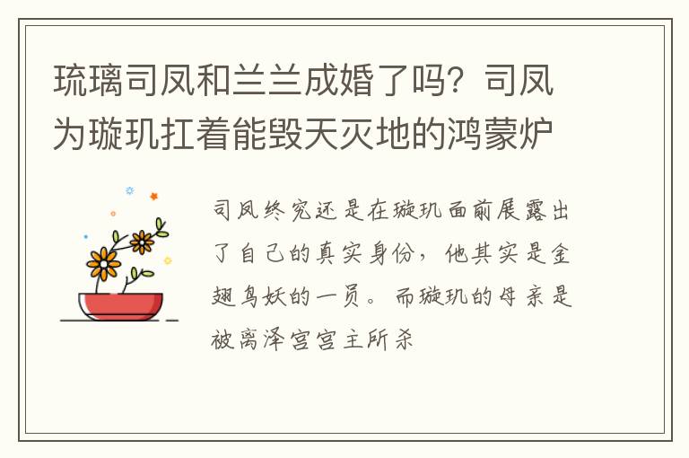 司凤为璇玑扛着能毁天灭地的鸿蒙炉 琉璃司凤和兰兰成婚了吗