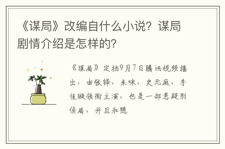 谋局剧情介绍是怎样的 《谋局》改编自什么小说