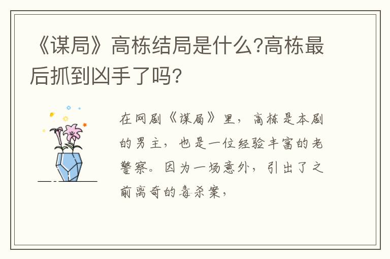 高栋最后抓到凶手了吗 《谋局》高栋结局是什么