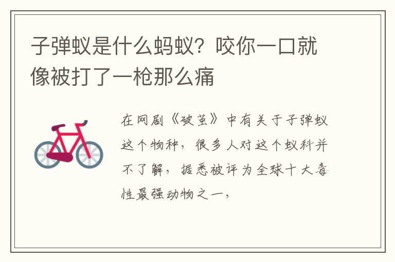 咬你一口就像被打了一枪那么痛 子弹蚁是什么蚂蚁