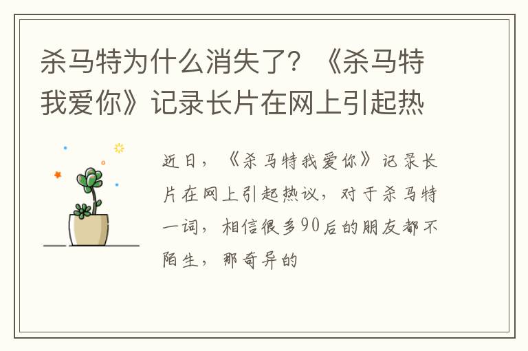 《杀马特我爱你》记录长片在网上引起热议 杀马特为什么消失了