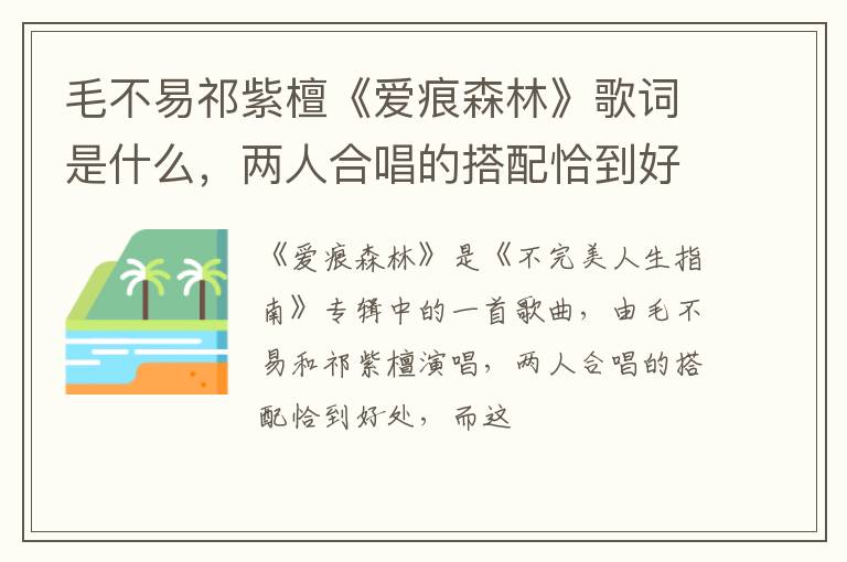 两人合唱的搭配恰到好处 毛不易祁紫檀《爱痕森林》歌词是什么