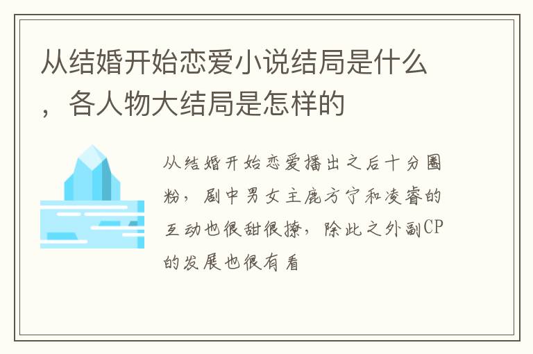 各人物大结局是怎样的 从结婚开始恋爱小说结局是什么