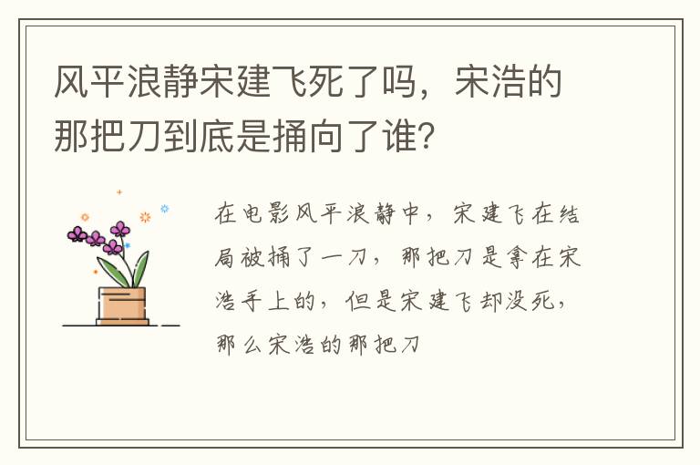 宋浩的那把刀到底是捅向了谁 风平浪静宋建飞死了吗