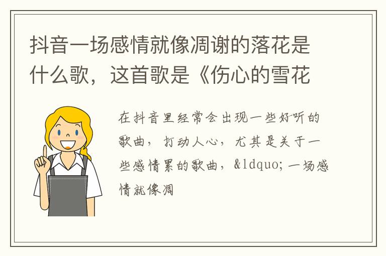 这首歌是《伤心的雪花》 抖音一场感情就像凋谢的落花是什么歌