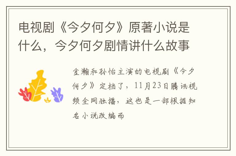 今夕何夕剧情讲什么故事 电视剧《今夕何夕》原著小说是什么