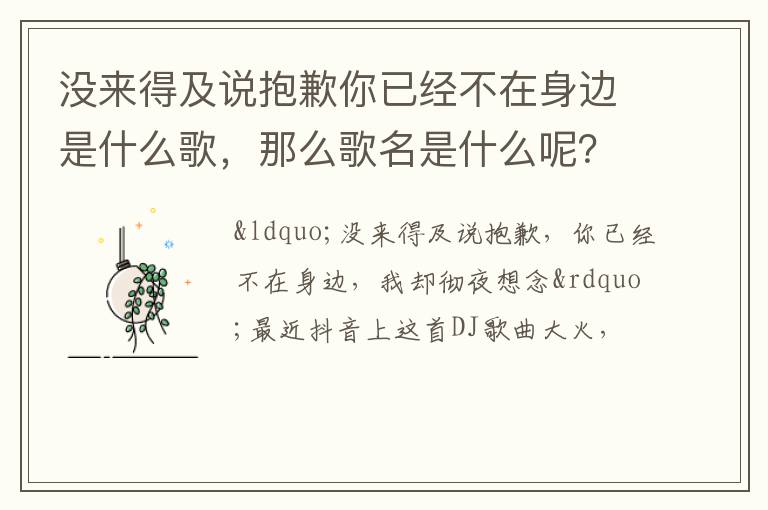 那么歌名是什么呢 没来得及说抱歉你已经不在身边是什么歌