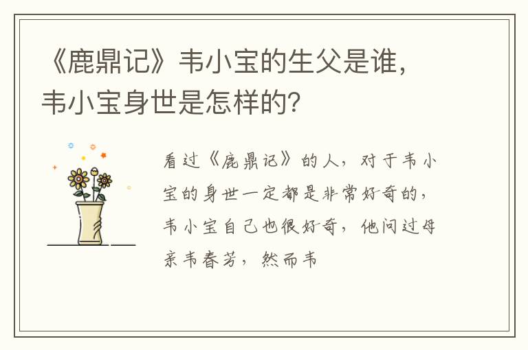韦小宝身世是怎样的 《鹿鼎记》韦小宝的生父是谁