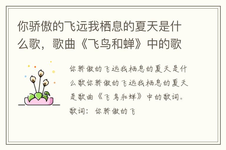 歌曲《飞鸟和蝉》中的歌词 你骄傲的飞远我栖息的夏天是什么歌