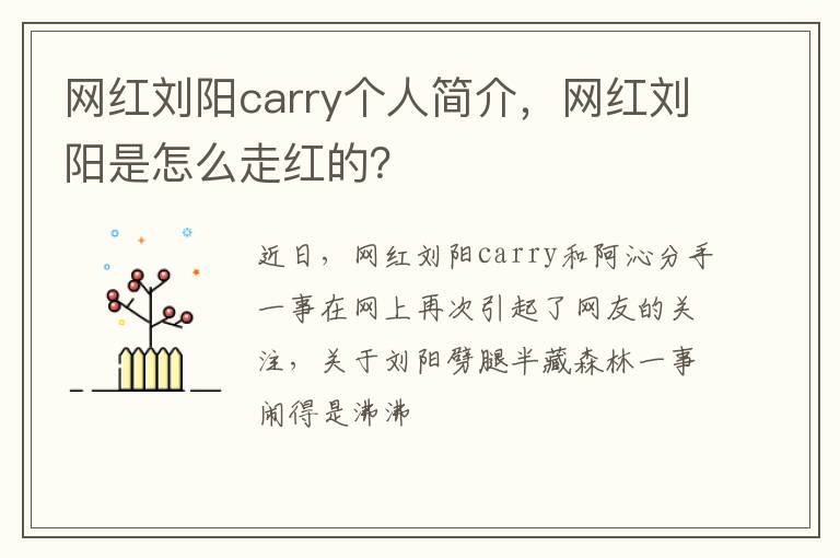 网红刘阳是怎么走红的 网红刘阳carry个人简介