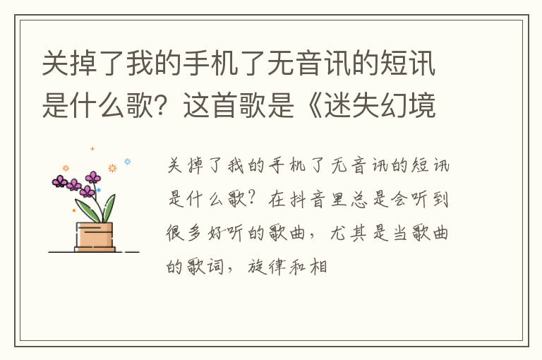 这首歌是《迷失幻境》 关掉了我的手机了无音讯的短讯是什么歌