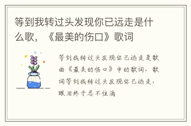 《最美的伤口》歌词 等到我转过头发现你已远走是什么歌