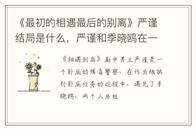 严谨和季晓鸥在一起了吗 《最初的相遇最后的别离》严谨结局是什么