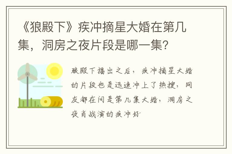 洞房之夜片段是哪一集 《狼殿下》疾冲摘星大婚在第几集