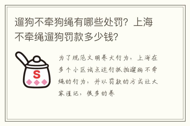 上海不牵绳遛狗罚款多少钱 遛狗不牵狗绳有哪些处罚