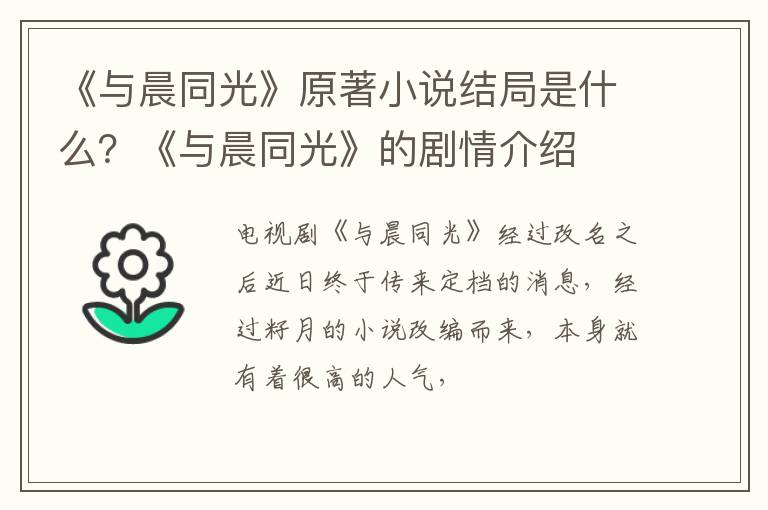 《与晨同光》的剧情介绍 《与晨同光》原著小说结局是什么