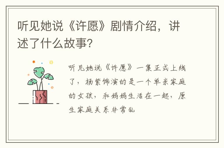 讲述了什么故事 听见她说《许愿》剧情介绍