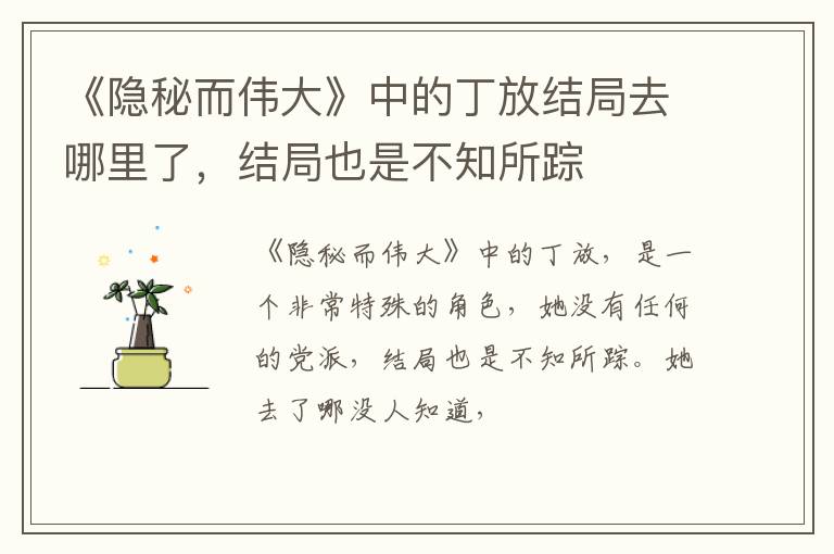 结局也是不知所踪 《隐秘而伟大》中的丁放结局去哪里了