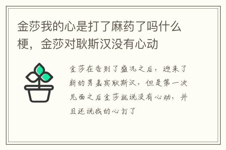 金莎对耿斯汉没有心动 金莎我的心是打了麻药了吗什么梗