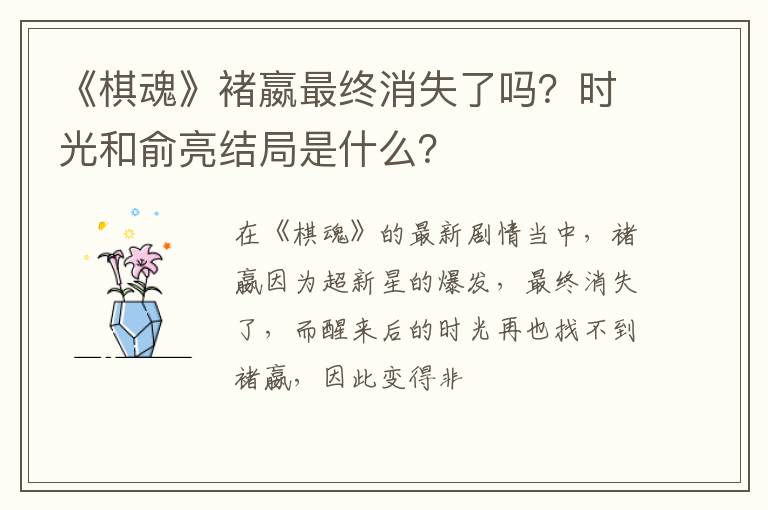 时光和俞亮结局是什么 《棋魂》褚嬴最终消失了吗