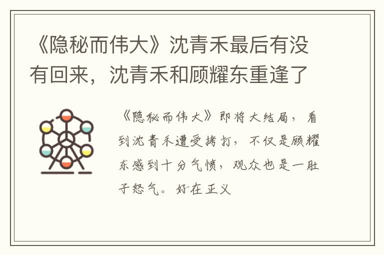 沈青禾和顾耀东重逢了吗 《隐秘而伟大》沈青禾最后有没有回来