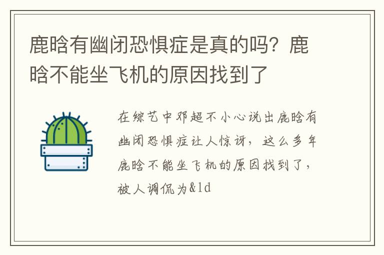 鹿晗不能坐飞机的原因找到了 鹿晗有幽闭恐惧症是真的吗