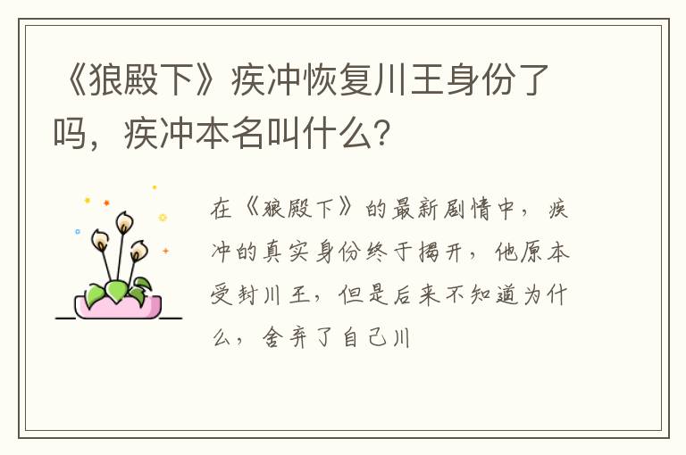 疾冲本名叫什么 《狼殿下》疾冲恢复川王身份了吗