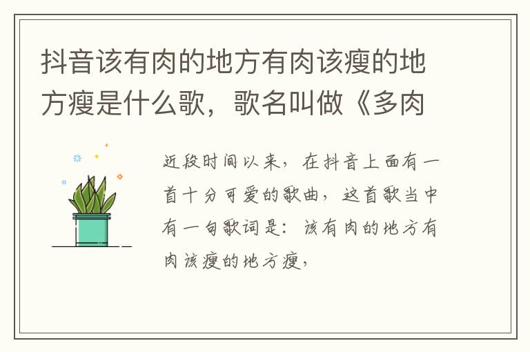 歌名叫做《多肉少女》 抖音该有肉的地方有肉该瘦的地方瘦是什么歌