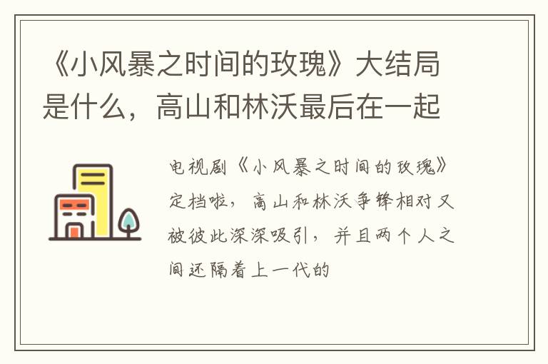 高山和林沃最后在一起了吗 《小风暴之时间的玫瑰》大结局是什么