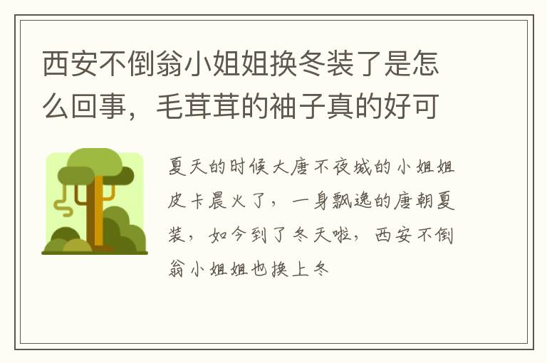 毛茸茸的袖子真的好可爱 西安不倒翁小姐姐换冬装了是怎么回事