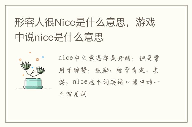 游戏中说nice是什么意思 形容人很Nice是什么意思