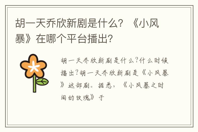 《小风暴》在哪个平台播出 胡一天乔欣新剧是什么