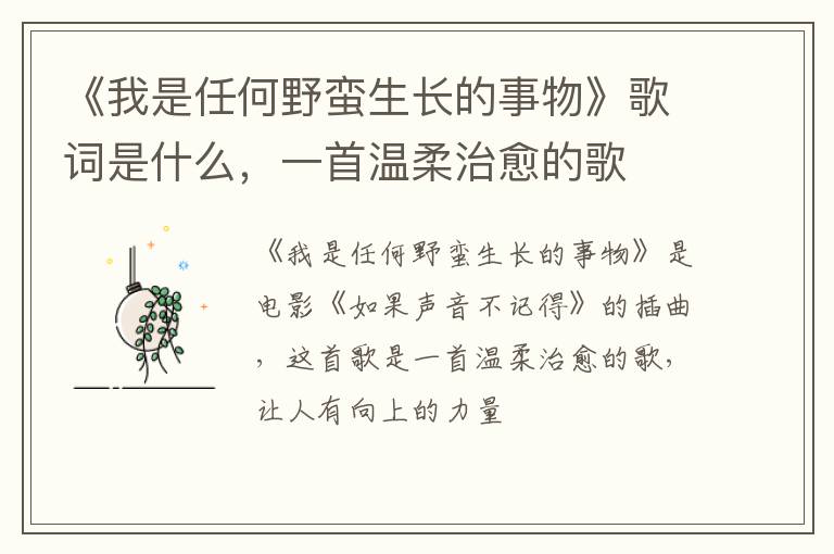 一首温柔治愈的歌 《我是任何野蛮生长的事物》歌词是什么
